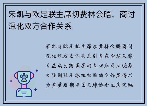 宋凯与欧足联主席切费林会晤，商讨深化双方合作关系