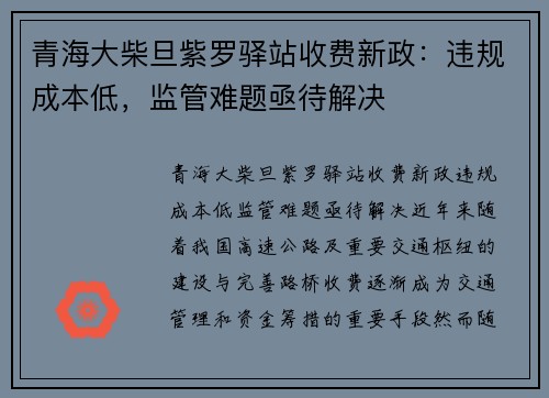 青海大柴旦紫罗驿站收费新政：违规成本低，监管难题亟待解决