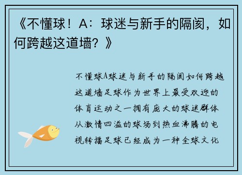 《不懂球！A：球迷与新手的隔阂，如何跨越这道墙？》