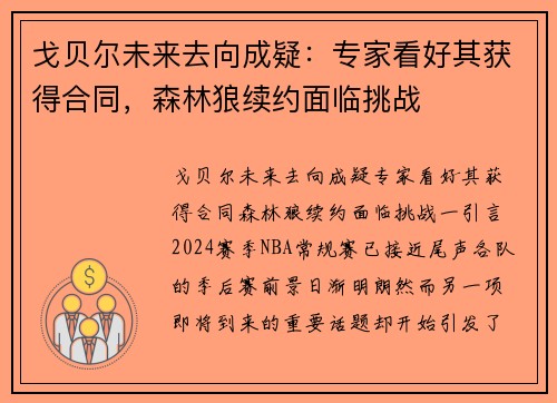 戈贝尔未来去向成疑：专家看好其获得合同，森林狼续约面临挑战