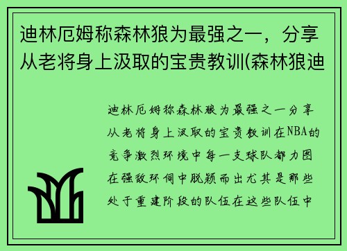 迪林厄姆称森林狼为最强之一，分享从老将身上汲取的宝贵教训(森林狼迪奥普)