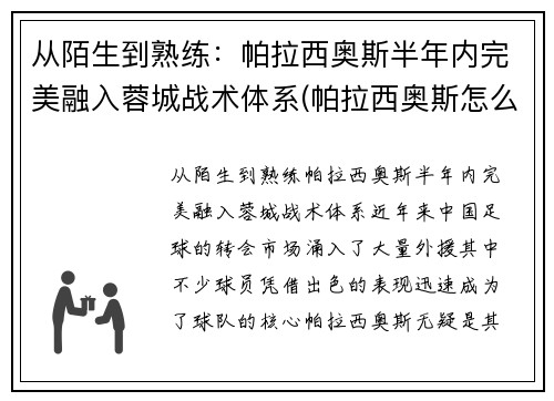从陌生到熟练：帕拉西奥斯半年内完美融入蓉城战术体系(帕拉西奥斯怎么样)