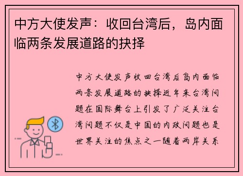 中方大使发声：收回台湾后，岛内面临两条发展道路的抉择
